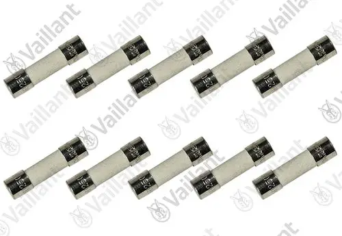 Vaillant Sicherungen in einem Set, sichtbar sind 10 Stück. Die Sicherungen haben eine zylindrische Form und Metallendkappen.